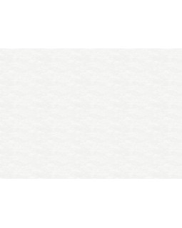 R111013 Обои Grandeco (DREAM) (1*6) 10,05х1,06 винил на флизелине-foto2