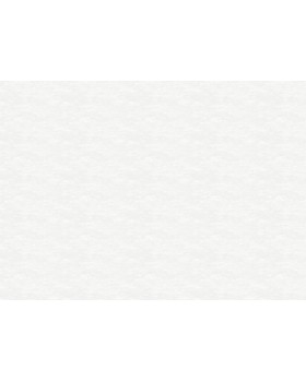 R111013 Обои Grandeco (DREAM) (1*6) 10,05х1,06 винил на флизелине-foto2