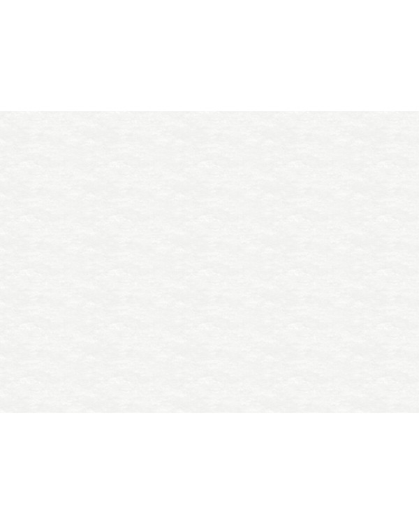R111013 Обои Grandeco (DREAM) (1*6) 10,05х1,06 винил на флизелине