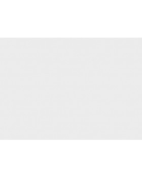 R110013 Обои Grandeco (DREAM) (1*6) 10,05х1,06 винил на флизелине-foto2