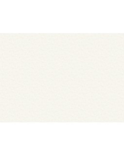 R110112 Обои Grandeco (DREAM) (1*6) 10,05х1,06 винил на флизелине-foto2