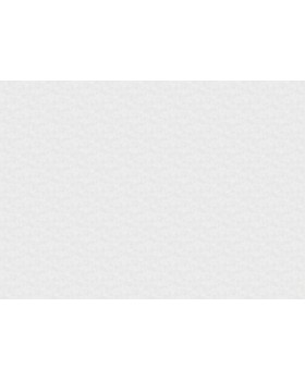 R110113 Обои Grandeco (DREAM) (1*6) 10,05х1,06 винил на флизелине-foto2