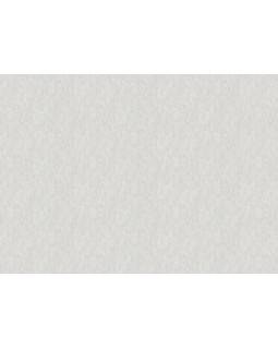 TM 1310 Обои Grandeco (Time) (1*6) 10,05х1,06 винил на флизелине-foto2