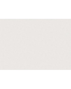 60241-04 Обои Erismann (Tiara) (1*6) 10,05x1,06 винил на флизелине-foto2