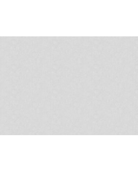 60241-05 Обои Erismann (Tiara) (1*6) 10,05x1,06 винил на флизелине-foto2