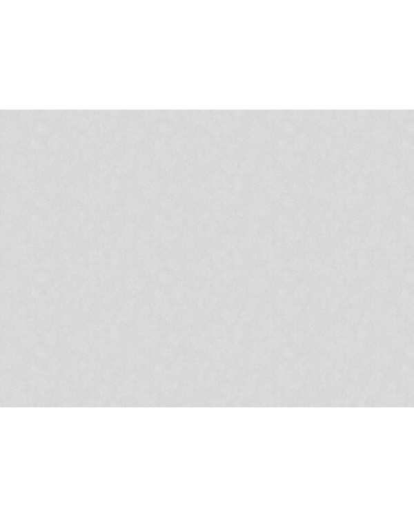 60241-05 Обои Erismann (Tiara) (1*6) 10,05x1,06 винил на флизелине