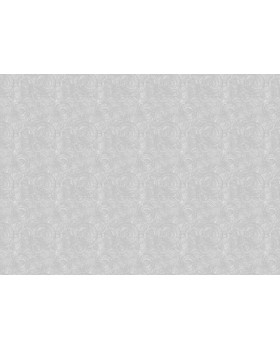 60260-05 Обои Erismann (Tiara) (1*6) 10,05x1,06 винил на флизелине-foto2