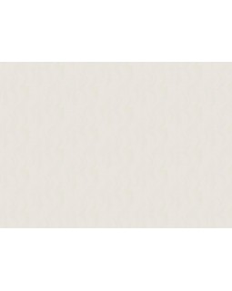 60328-02 Обои Erismann (Tiara) (1*6) 10,05x1,06 винил на флизелине-foto2