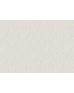 60328-03 Обои Erismann (Tiara) (1*6) 10,05x1,06 винил на флизелине-foto2