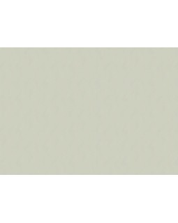 60328-05 Обои Erismann (Tiara) (1*6) 10,05x1,06 винил на флизелине-foto2