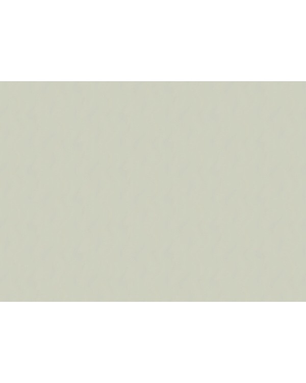 60328-05 Обои Erismann (Tiara) (1*6) 10,05x1,06 винил на флизелине