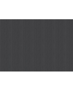 60329-09 Обои Erismann (Tiara) (1*6) 10,05x1,06 винил на флизелине-foto2