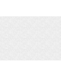 60211-01 Обои Erismann (Valse) (1*6) 10,05x1,06 винил на флизелине-foto2