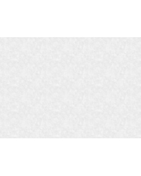 60211-01 Обои Erismann (Valse) (1*6) 10,05x1,06 винил на флизелине-foto2