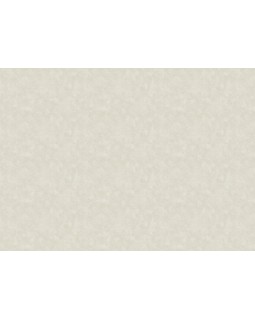 60211-02 Обои Erismann (Valse) (1*6) 10,05x1,06 винил на флизелине-foto2