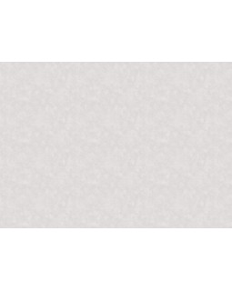 60211-03 Обои Erismann (Valse) (1*6) 10,05x1,06 винил на флизелине-foto2