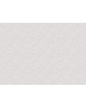 60211-03 Обои Erismann (Valse) (1*6) 10,05x1,06 винил на флизелине-foto2