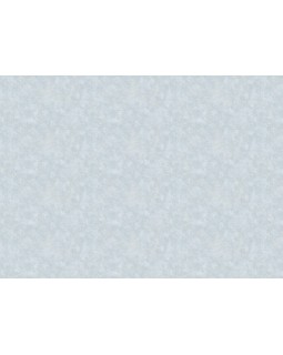 60211-05 Обои Erismann (Valse) (1*6) 10,05x1,06 винил на флизелине-foto2