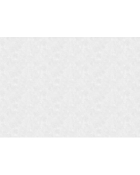 60406-01 Обои Erismann (Valse) (1*6) 10,05x1,06 винил на флизелине-foto2