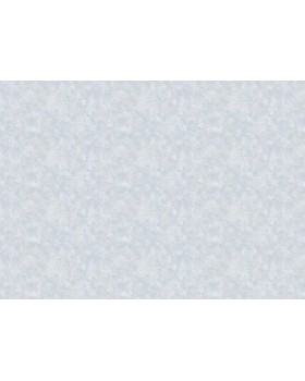 60406-05 Обои Erismann (Valse) (1*6) 10,05x1,06 винил на флизелине-foto2