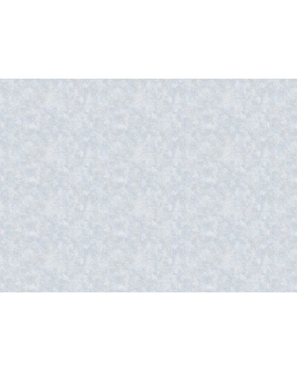 60406-05 Обои Erismann (Valse) (1*6) 10,05x1,06 винил на флизелине