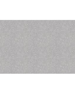 34105 Обои Marburg (Rainbow 3/Loft Superior) (1*6) 10,05x1,06 винил на флизелине-foto2