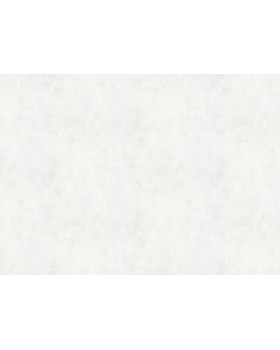 34134 Обои Marburg (Rainbow 3/Loft Superior) (1*6) 10,05x1,06 винил на флизелине-foto2