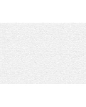 R119025 Обои Grandeco (Gloria) (1*6) 10,05х1,06 винил на флизелине-foto2