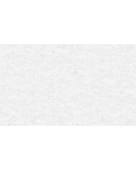 R119025 Обои Grandeco (Gloria) (1*6) 10,05х1,06 винил на флизелине R119025 Обои Grandeco (Gloria) (1*6) 10,05х1,06 винил на флизелине