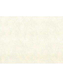 R 23335 Обои Zambaiti (Felicita) (1*6) 10,05х1,06 винил на флизелине