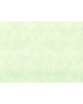 R 23337 Обои Zambaiti (Felicita) (1*6) 10,05х1,06 винил на флизелине
