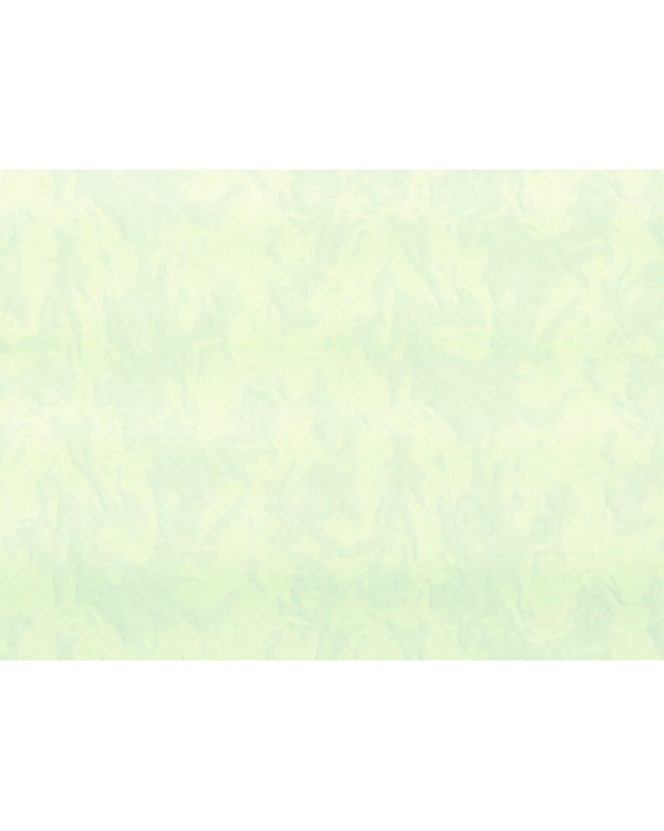 R 23337 Обои Zambaiti (Felicita) (1*6) 10,05х1,06 винил на флизелине