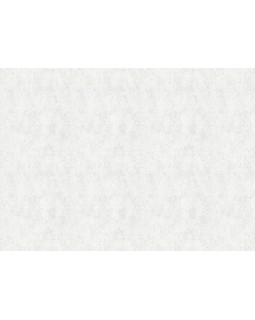 34240 Обои Marburg (Urban Elegance) (1*6) 10,05x1,06 винил на флизелине-foto2