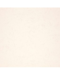 R 11581 Обои Fipar (Modelli Magici) (1*4) 10,05х1,06 винил на флизелине