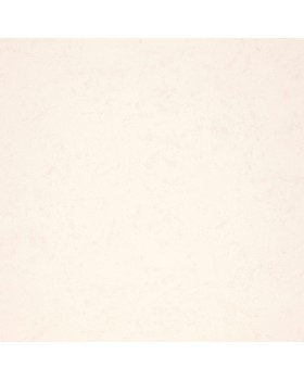 R 11581 Обои Fipar (Modelli Magici) (1*4) 10,05х1,06 винил на флизелине