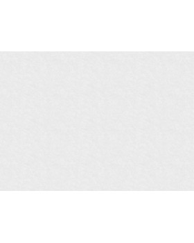 R135113 Обои Grandeco (Voyage/Infinity 3/Oasis) (1*6) 10,05х1,06  винил на флизелине-foto2