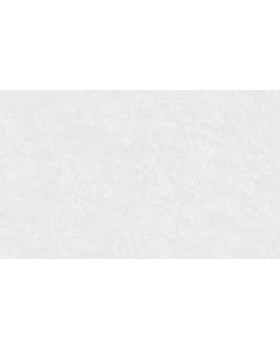 R135113 Обои Grandeco (Voyage/Infinity 3/Oasis) (1*6) 10,05х1,06  винил на флизелине