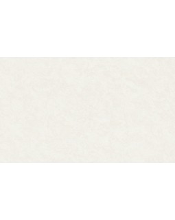 R135112 Обои Grandeco (Voyage/Infinity 3/Oasis) (1*6) 10,05х1,06  винил на флизелине