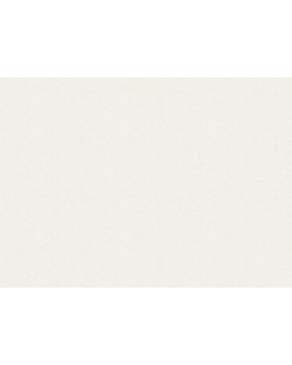 R135112 Обои Grandeco (Voyage/Infinity 3/Oasis) (1*6) 10,05х1,06  винил на флизелине