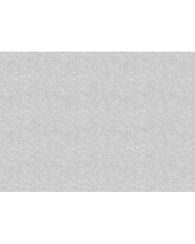 R135103 Обои Grandeco (Voyage/Infinity 3/Oasis) (1*6) 10,05х1,06  винил на флизелине-foto2