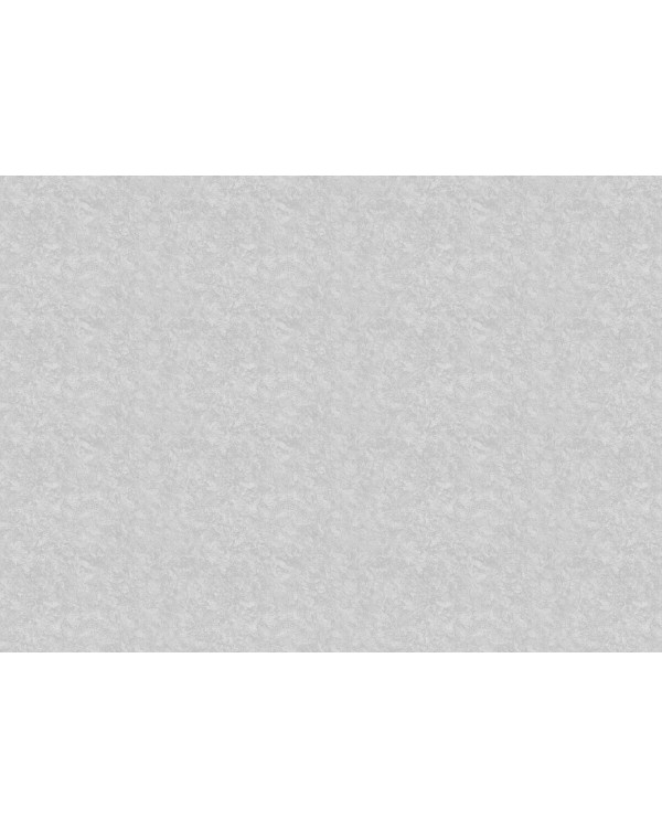 R135103 Обои Grandeco (Voyage/Infinity 3/Oasis) (1*6) 10,05х1,06  винил на флизелине