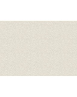 R135102 Обои Grandeco (Voyage/Infinity 3/Oasis) (1*6) 10,05х1,06  винил на флизелине-foto2