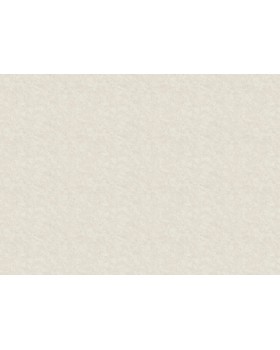 R135102 Обои Grandeco (Voyage/Infinity 3/Oasis) (1*6) 10,05х1,06  винил на флизелине-foto2