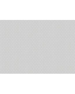 ARTS2 001  Обои Artsimple (Mozart) (1*6) 10,05x1,00 флизелин-foto2