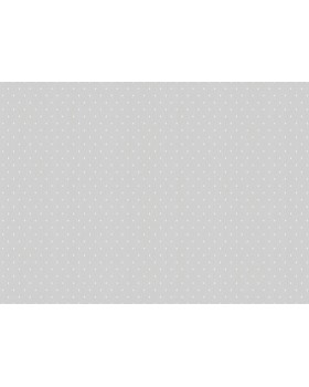 ARTS2 001  Обои Artsimple (Mozart) (1*6) 10,05x1,00 флизелин-foto2