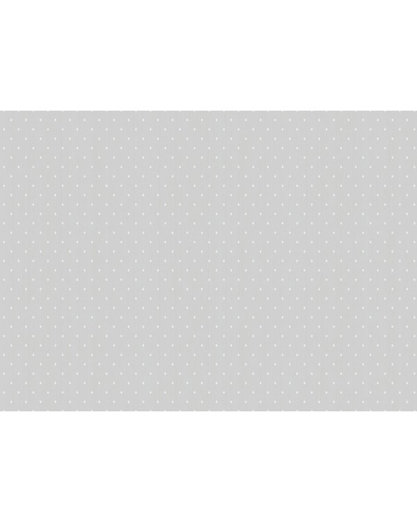 ARTS2 001  Обои Artsimple (Mozart) (1*6) 10,05x1,00 флизелин