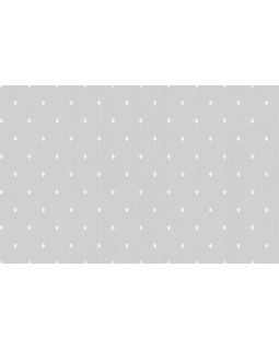 ARTS2 001  Обои Artsimple (Mozart) (1*6) 10,05x1,00 флизелин
