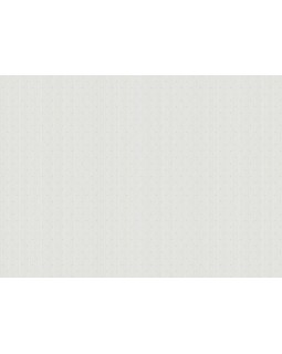 ARTS2 001/1  Обои Artsimple (Mozart) (1*6) 10,05x1,00 флизелин-foto2