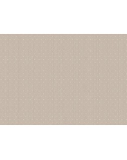 ARTS2 002  Обои Artsimple (Mozart) (1*6) 10,05x1,00 флизелин-foto2