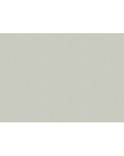 ARTS2 002/2  Обои Artsimple (Mozart) (1*6) 10,05x1,00 флизелин-foto2